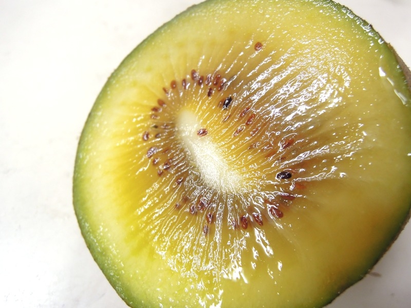 ゴールドキウイtoday Sfruits ゴールドキウイtoday Sfruits