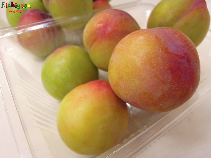 すももの季節です Today Sfruits すももの季節です Today Sfruits