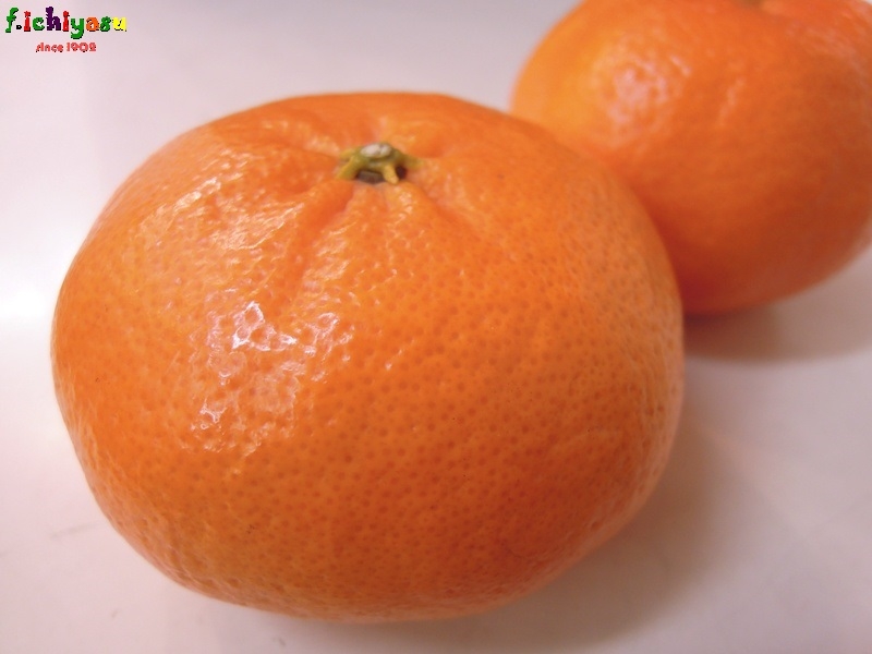 愛媛の美味しい柑橘「甘平」Today’sFruits♪