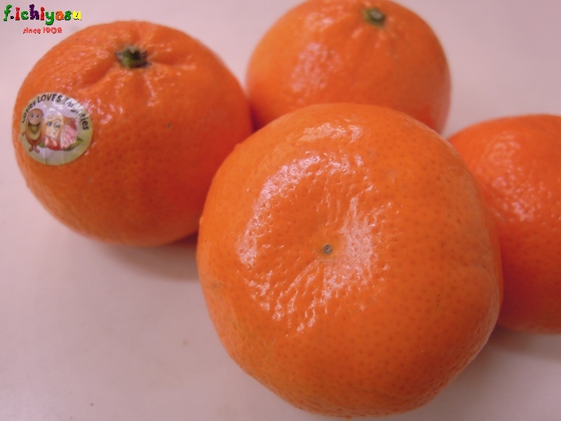 2024人気特価 カリフォルニアのみかん「Cuties」Today'sFruits♪ シャツ/ブラウス(長袖/七分)
