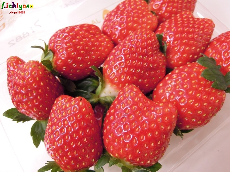 fruits+ 市安商店