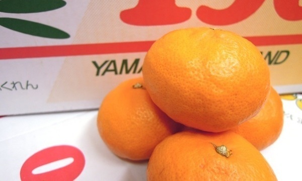 山川マイルド130